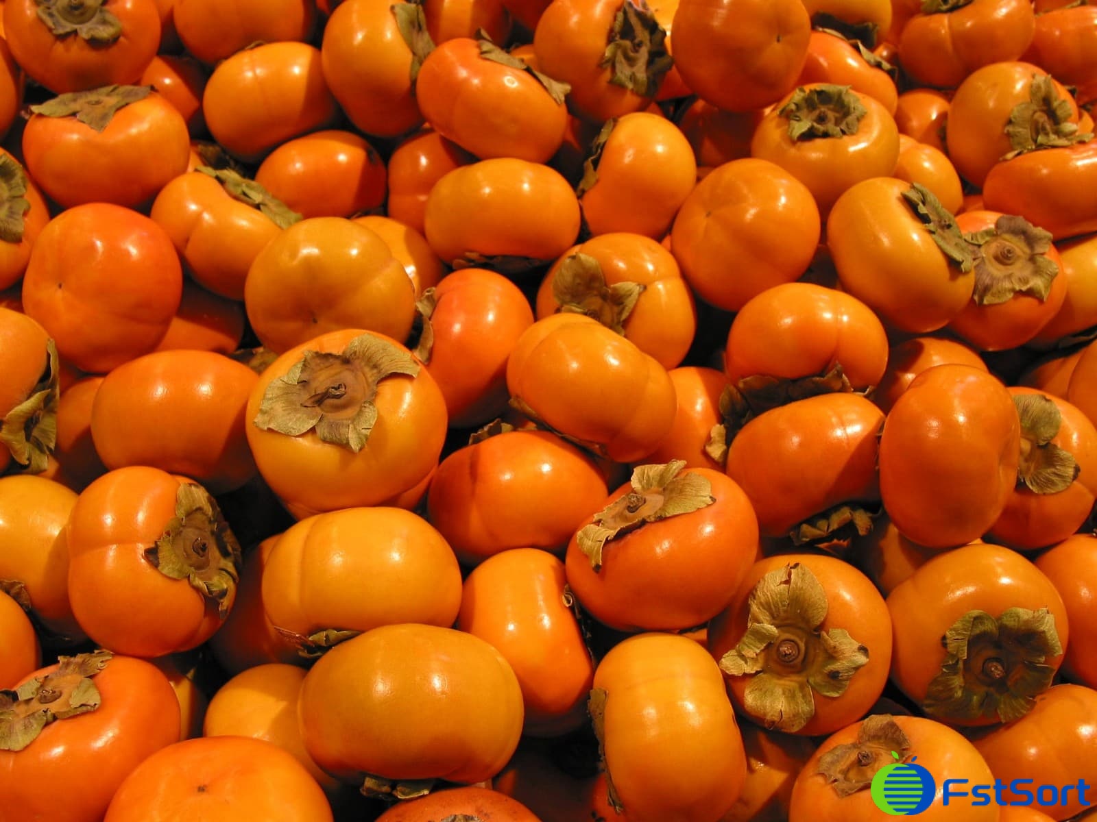images/1703145374119Spanish persimmons.jpg